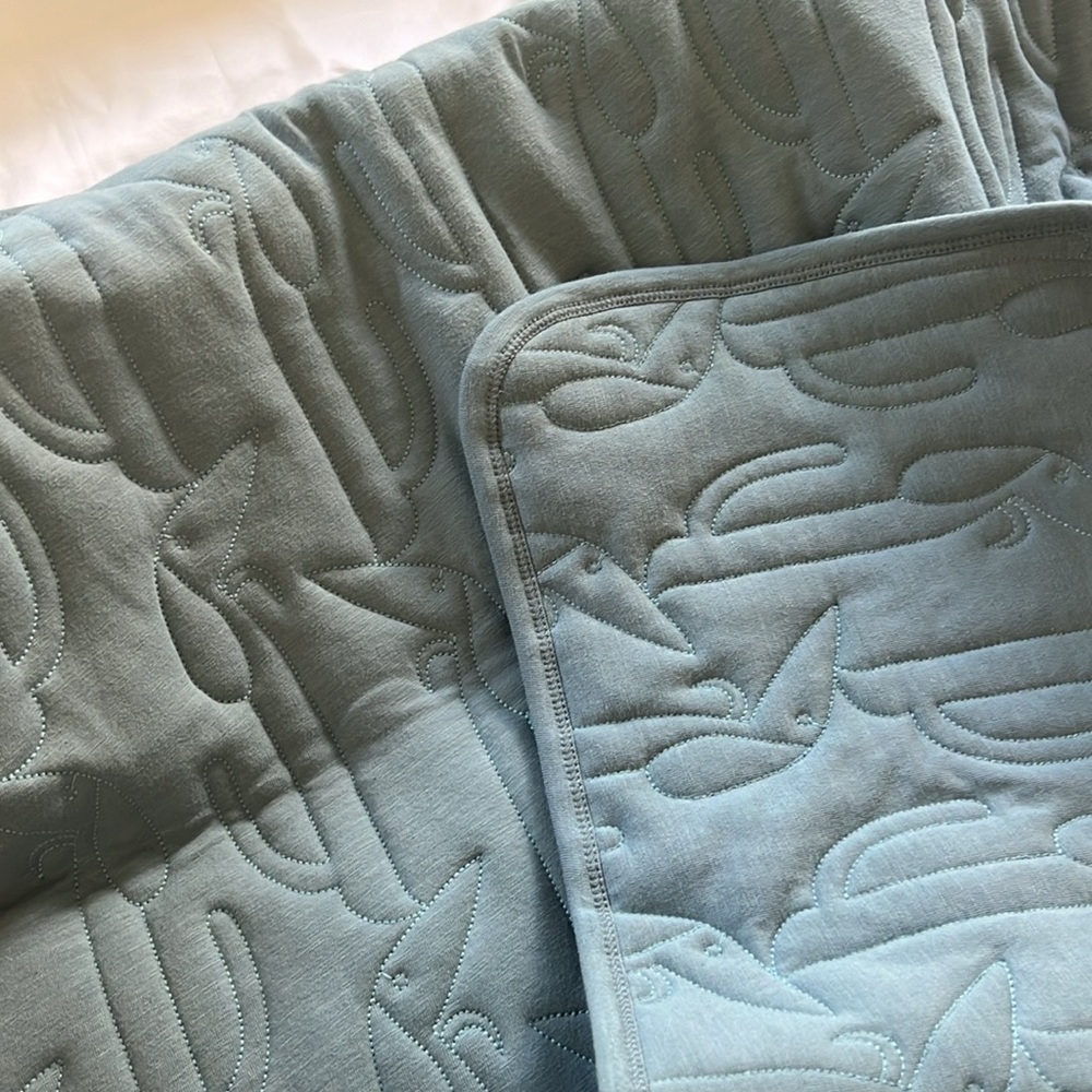 Kate Quinn Little Liam Teal Cotton Dog Quilt - Picture 3 of 3